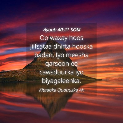 Picture 04 - Ayuub 40:21 SOM - Oo waxay hoos jiifsataa dhirta hooska badan, Iyo - Bible Verse Picture