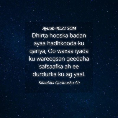 Picture 04 - Ayuub 40:22 SOM - Dhirta hooska badan ayaa hadhkooda ku qariya, Oo - Bible Verse Picture