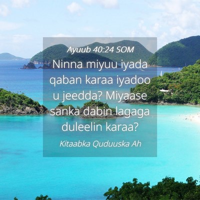 Picture 04 - Ayuub 40:24 SOM - Ninna miyuu iyada qaban karaa iyadoo u jeedda? - Bible Verse Picture