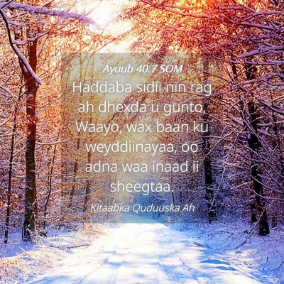 Picture 04 - Ayuub 40:7 SOM - Haddaba sidii nin rag ah dhexda u gunto, Waayo, - Bible Verse Picture