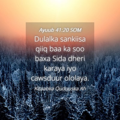 Picture 04 - Ayuub 41:20 SOM - Dulalka sankiisa qiiq baa ka soo baxa Sida dheri - Bible Verse Picture