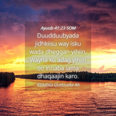 Picture 04 - Ayuub 41:23 SOM - Duudduubyada jidhkiisu way isku wada dheggan - Bible Verse Picture