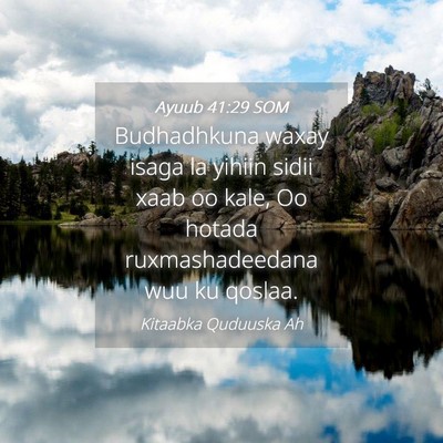Picture 04 - Ayuub 41:29 SOM - Budhadhkuna waxay isaga la yihiin sidii xaab oo - Bible Verse Picture
