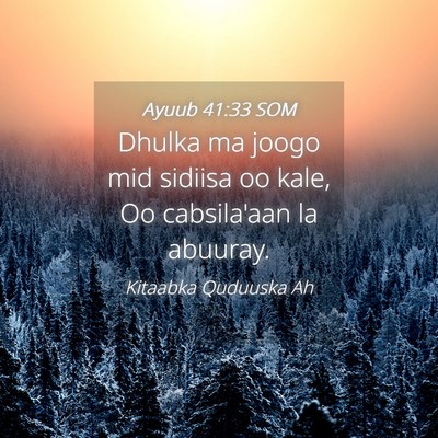 Picture 04 - Ayuub 41:33 SOM - Dhulka ma joogo mid sidiisa oo kale, Oo - Bible Verse Picture