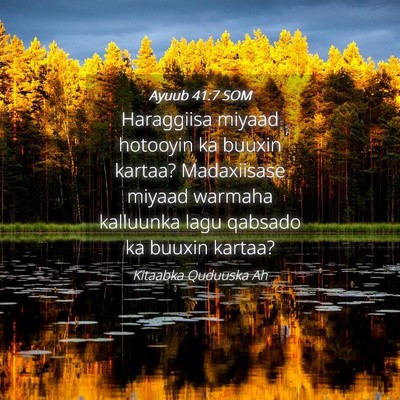 Picture 04 - Ayuub 41:7 SOM - Haraggiisa miyaad hotooyin ka buuxin kartaa? - Bible Verse Picture