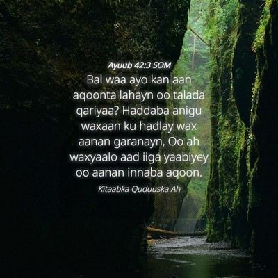 Picture 04 - Ayuub 42:3 SOM - Bal waa ayo kan aan aqoonta lahayn oo talada - Bible Verse Picture