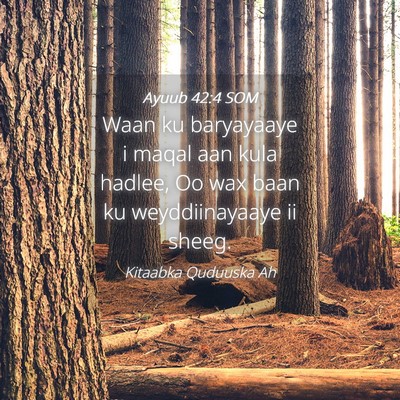 Picture 04 - Ayuub 42:4 SOM - Waan ku baryayaaye i maqal aan kula hadlee, Oo - Bible Verse Picture