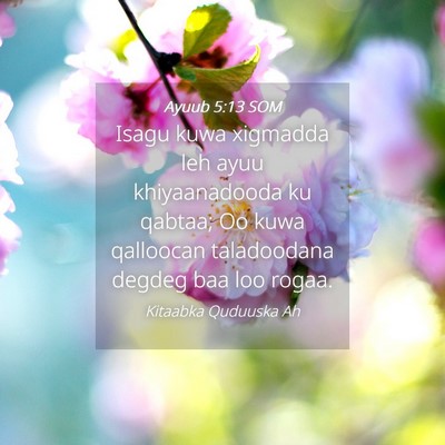 Picture 04 - Ayuub 5:13 SOM - Isagu kuwa xigmadda leh ayuu khiyaanadooda ku - Bible Verse Picture