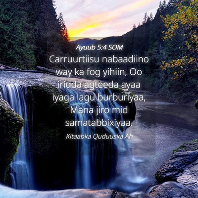 Picture 04 - Ayuub 5:4 SOM - Carruurtiisu nabaadiino way ka fog yihiin, Oo - Bible Verse Picture