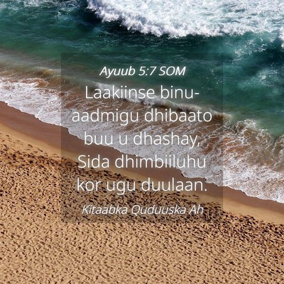 Picture 04 - Ayuub 5:7 SOM - Laakiinse binu-aadmigu dhibaato buu u dhashay, - Bible Verse Picture