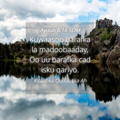 Picture 04 - Ayuub 6:16 SOM - Kuwaasoo barafka la madoobaaday, Oo uu barafka - Bible Verse Picture