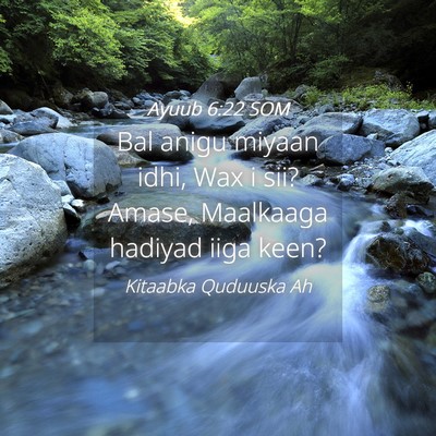 Picture 04 - Ayuub 6:22 SOM - Bal anigu miyaan idhi, Wax i sii? Amase, - Bible Verse Picture