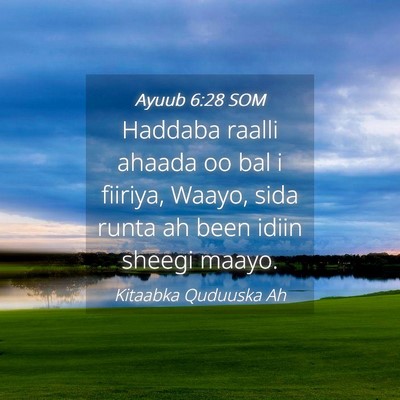 Picture 04 - Ayuub 6:28 SOM - Haddaba raalli ahaada oo bal i fiiriya, Waayo, - Bible Verse Picture