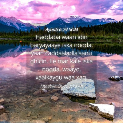 Picture 04 - Ayuub 6:29 SOM - Haddaba waan idin baryayaaye iska noqda, yaan - Bible Verse Picture