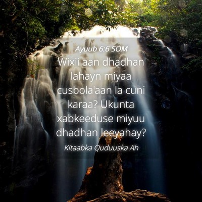 Picture 04 - Ayuub 6:6 SOM - Wixii aan dhadhan lahayn miyaa cusbola'aan la - Bible Verse Picture