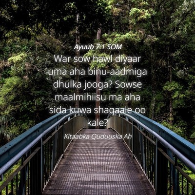 Picture 04 - Ayuub 7:1 SOM - War sow hawl diyaar uma aha binu-aadmiga dhulka - Bible Verse Picture