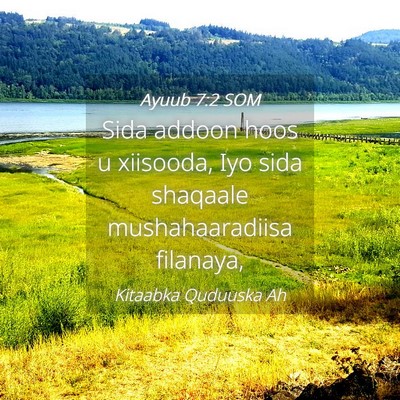 Picture 04 - Ayuub 7:2 SOM - Sida addoon hoos u xiisooda, Iyo sida shaqaale - Bible Verse Picture