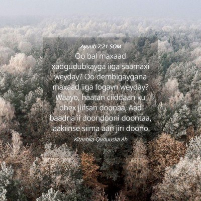Picture 04 - Ayuub 7:21 SOM - Oo bal maxaad xadgudubkayga iiga saamaxi weyday? - Bible Verse Picture