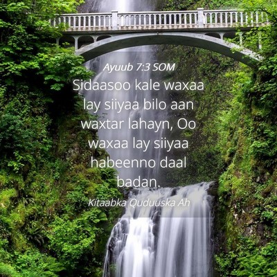 Picture 04 - Ayuub 7:3 SOM - Sidaasoo kale waxaa lay siiyaa bilo aan waxtar - Bible Verse Picture