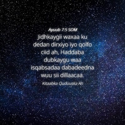 Picture 04 - Ayuub 7:5 SOM - Jidhkaygii waxaa ku dedan dirxiyo iyo qolfo ciid - Bible Verse Picture