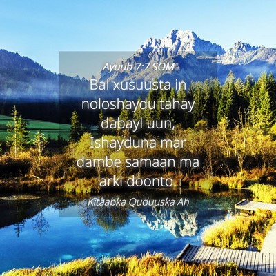 Picture 04 - Ayuub 7:7 SOM - Bal xusuusta in noloshaydu tahay dabayl uun, - Bible Verse Picture