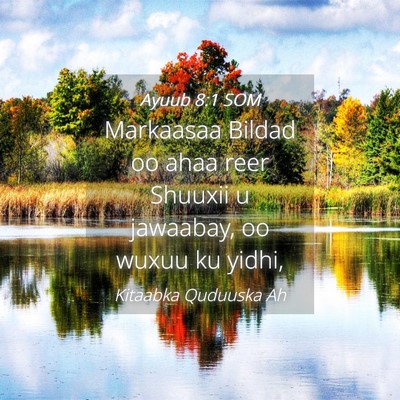 Picture 04 - Ayuub 8:1 SOM - Markaasaa Bildad oo ahaa reer Shuuxii u jawaabay, - Bible Verse Picture