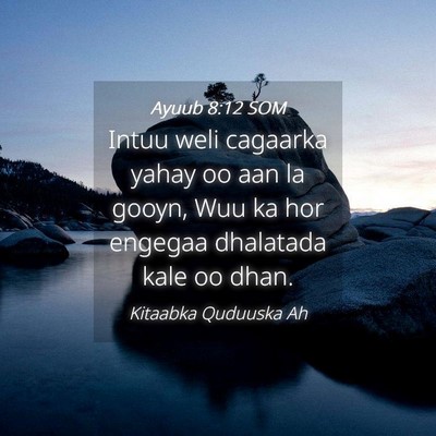 Picture 04 - Ayuub 8:12 SOM - Intuu weli cagaarka yahay oo aan la gooyn, Wuu ka - Bible Verse Picture