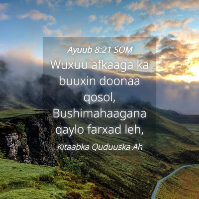 Picture 04 - Ayuub 8:21 SOM - Wuxuu afkaaga ka buuxin doonaa qosol, - Bible Verse Picture