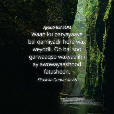 Picture 04 - Ayuub 8:8 SOM - Waan ku baryayaaye bal qarniyadii hore wax - Bible Verse Picture