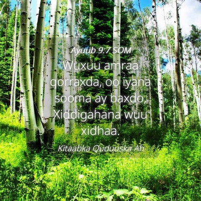 Picture 04 - Ayuub 9:7 SOM - Wuxuu amraa qorraxda, oo iyana sooma ay baxdo, - Bible Verse Picture