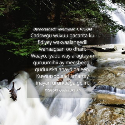 Picture 04 - Baroorashadii Yeremyaah 1:10 SOM - Cadowgu wuxuu gacanta ku fidiyey waxyaalaheedii - Bible Verse Picture