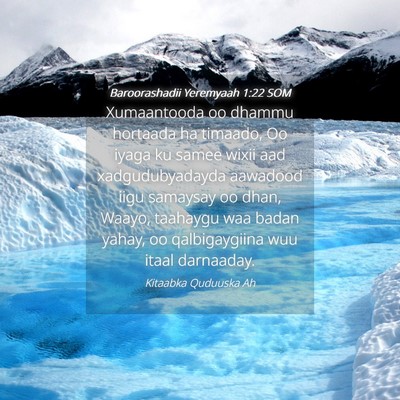 Picture 04 - Baroorashadii Yeremyaah 1:22 SOM - Xumaantooda oo dhammu hortaada ha timaado, Oo - Bible Verse Picture