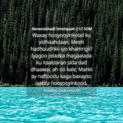 Picture 04 - Baroorashadii Yeremyaah 2:12 SOM - Waxay hooyooyinkood ku yidhaahdaan, Meeh - Bible Verse Picture
