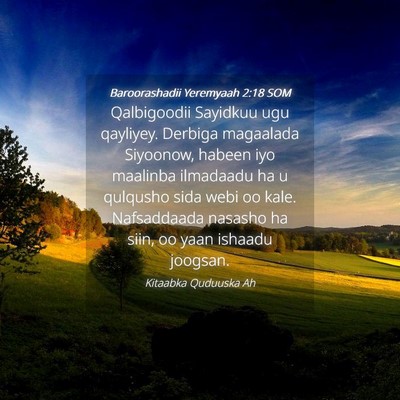Picture 04 - Baroorashadii Yeremyaah 2:18 SOM - Qalbigoodii Sayidkuu ugu qayliyey. Derbiga - Bible Verse Picture