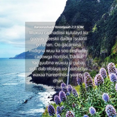 Picture 04 - Baroorashadii Yeremyaah 2:3 SOM - Wuxuu cadhadiisii kululayd ku gooyay geeskii - Bible Verse Picture