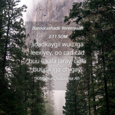 Picture 04 - Baroorashadii Yeremyaah 3:11 SOM - Jidadkaygii wuu iga leexiyey, oo cad cad buu ii - Bible Verse Picture