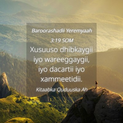 Picture 04 - Baroorashadii Yeremyaah 3:19 SOM - Xusuuso dhibkaygii iyo wareeggaygii, iyo dacartii - Bible Verse Picture