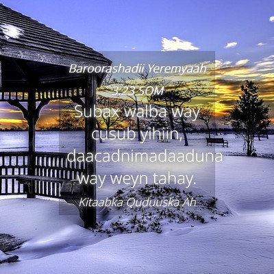 Picture 04 - Baroorashadii Yeremyaah 3:23 SOM - Subax walba way cusub yihiin, daacadnimadaaduna - Bible Verse Picture