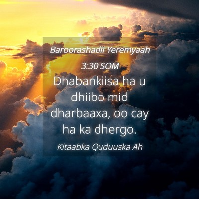 Picture 04 - Baroorashadii Yeremyaah 3:30 SOM - Dhabankiisa ha u dhiibo mid dharbaaxa, oo cay ha - Bible Verse Picture