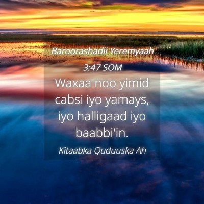 Picture 04 - Baroorashadii Yeremyaah 3:47 SOM - Waxaa noo yimid cabsi iyo yamays, iyo halligaad - Bible Verse Picture