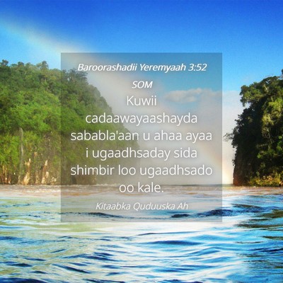 Picture 04 - Baroorashadii Yeremyaah 3:52 SOM - Kuwii cadaawayaashayda sababla'aan u ahaa ayaa i - Bible Verse Picture
