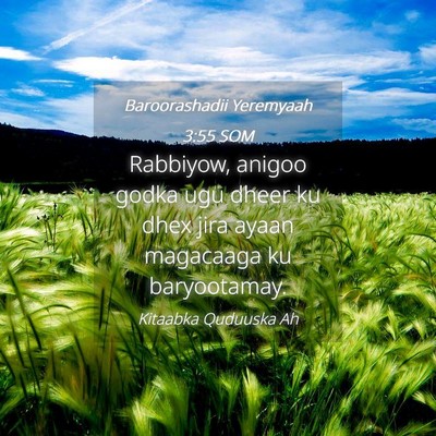 Picture 04 - Baroorashadii Yeremyaah 3:55 SOM - Rabbiyow, anigoo godka ugu dheer ku dhex jira - Bible Verse Picture