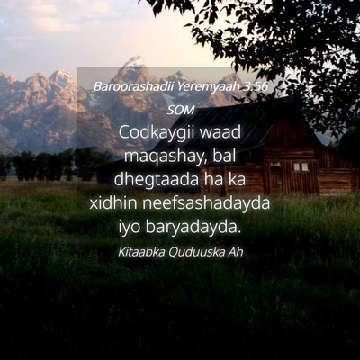 Picture 04 - Baroorashadii Yeremyaah 3:56 SOM - Codkaygii waad maqashay, bal dhegtaada ha ka - Bible Verse Picture