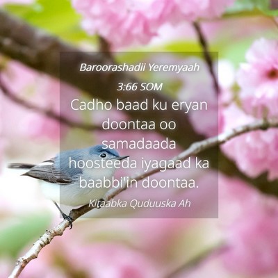 Picture 04 - Baroorashadii Yeremyaah 3:66 SOM - Cadho baad ku eryan doontaa oo samadaada - Bible Verse Picture