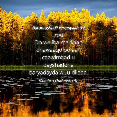 Picture 04 - Baroorashadii Yeremyaah 3:8 SOM - Oo weliba markaan dhawaaqo oo aan caawimaad u - Bible Verse Picture