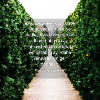 Picture 04 - Baroorashadii Yeremyaah 4:12 SOM - Boqorrada dhulka iyo dadka dunida deggan oo - Bible Verse Picture