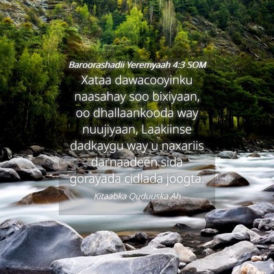 Picture 04 - Baroorashadii Yeremyaah 4:3 SOM - Xataa dawacooyinku naasahay soo bixiyaan, oo - Bible Verse Picture