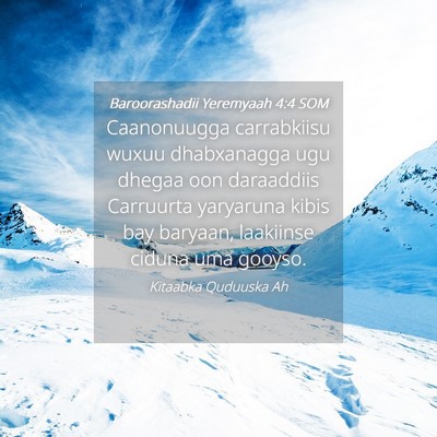 Picture 04 - Baroorashadii Yeremyaah 4:4 SOM - Caanonuugga carrabkiisu wuxuu dhabxanagga ugu - Bible Verse Picture