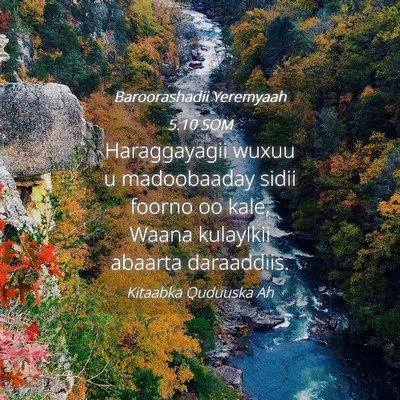 Picture 04 - Baroorashadii Yeremyaah 5:10 SOM - Haraggayagii wuxuu u madoobaaday sidii foorno oo - Bible Verse Picture