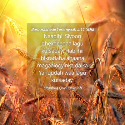 Picture 04 - Baroorashadii Yeremyaah 5:11 SOM - Naagihii Siyoon dhexdeedaa lagu kufsaday, - Bible Verse Picture